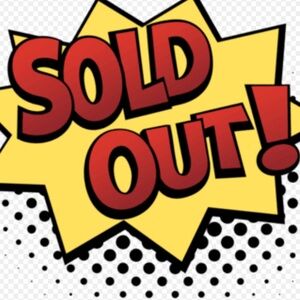 New two piece toddler outfit 12-18 months